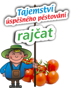 Tajemství úspěšného pěstování rajčat